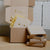BOXES